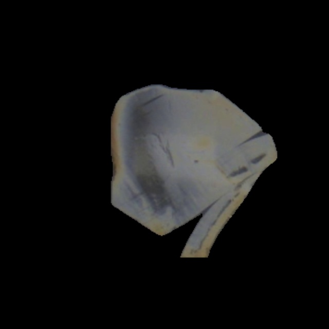 Processed Output Image