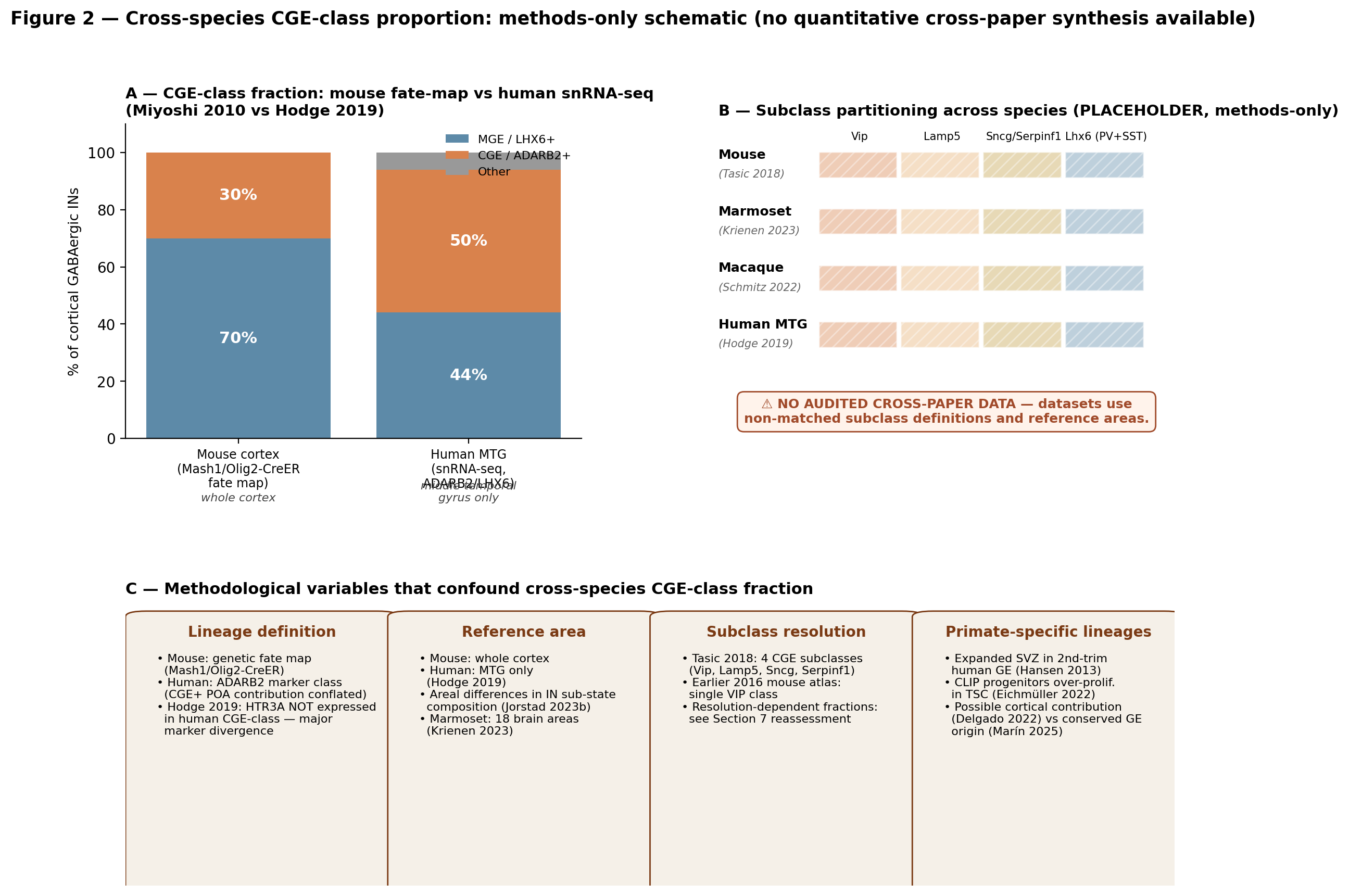 Schematic methods-only summary of the cross-species CGE-lineage comparison. (A) Reported fraction of cortical GABAergic neurons assigned to the CGE/5-HT3AR/ADARB2 class — mouse fate-mapping (Mash1/Olig2-CreER) gives ~30% across whole cortex ; human snRNA-seq in MTG gives ~50% (LHX6+ MGE 44% / ADARB2+ CGE 50%) . (B) The proposed partitioning across VIP / Lamp5 / Sncg / Serpinf1 subclasses across mouse, marmoset, macaque and human is shown as a methods placeholder only: no audited cross-paper panel was achievable for this stacked comparison because the underlying datasets use non-matched subclass definitions and reference areas . (C) Side timeline of the CGE-progenitor TF cascade — Sp8/Sp9 → COUP-TFII → PROX1 → postmitotic Prox1 / Elfn1 / activity-dependent refinement — with conditional-KO outcome annotations . Caveat: No quantitative cross-paper comparison was achievable for this comparison; the figure is methods-only/schematic, with the directional claim (mouse < primate CGE-class fraction) supported but the precise gap dependent on measurement modality. Readers should treat percentage estimates as study-specific anchors rather than as a synthesised effect size.