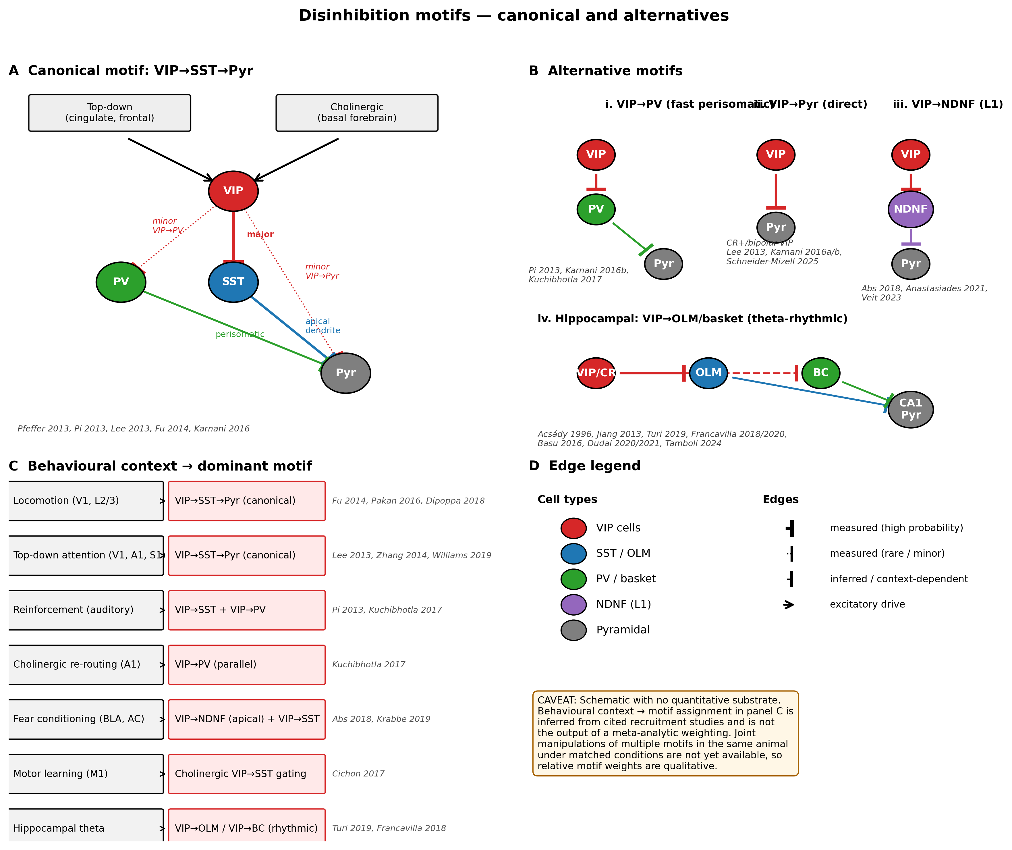 The disinhibition motif and its alternatives. (A) Canonical motif: VIP cells, recruited by long-range glutamatergic and ascending cholinergic inputs, preferentially inhibit SST cells, releasing pyramidal dendrites from inhibition; minor VIP→PV and VIP→pyramidal edges are drawn explicitly to flag that the disinhibitory schematic is a tendency rather than an exclusive wiring rule . (B) Three alternative motifs documented in the same evidence base: direct VIP→PV control of perisomatic inhibition , direct VIP→pyramidal inhibition by bipolar/CR-positive VIP cells , and a layer-1 VIP→NDNF disinhibitory motif gating apical dendritic input ; the hippocampal VIP→OLM/basket motif is a homologue with a distinct oscillatory context . (C) Decision tree mapping behavioural context — locomotion, attentional top-down, reinforcement, fear/learning — to the motif most consistent with the empirical recruitment data and to the supporting cite-keys; the assignment is qualitative because the literature does not yet contain joint manipulations of multiple motifs under matched conditions . (D) Schematic legend distinguishing measured edges (solid) from inferred or context-dependent edges (dashed). Caveat: this figure is a schematic with no quantitative data substrate; assignment of behavioural context to dominant motif in Panel C is inferred from joint reading of the cited recruitment studies and is not the output of a meta-analytic weighting.