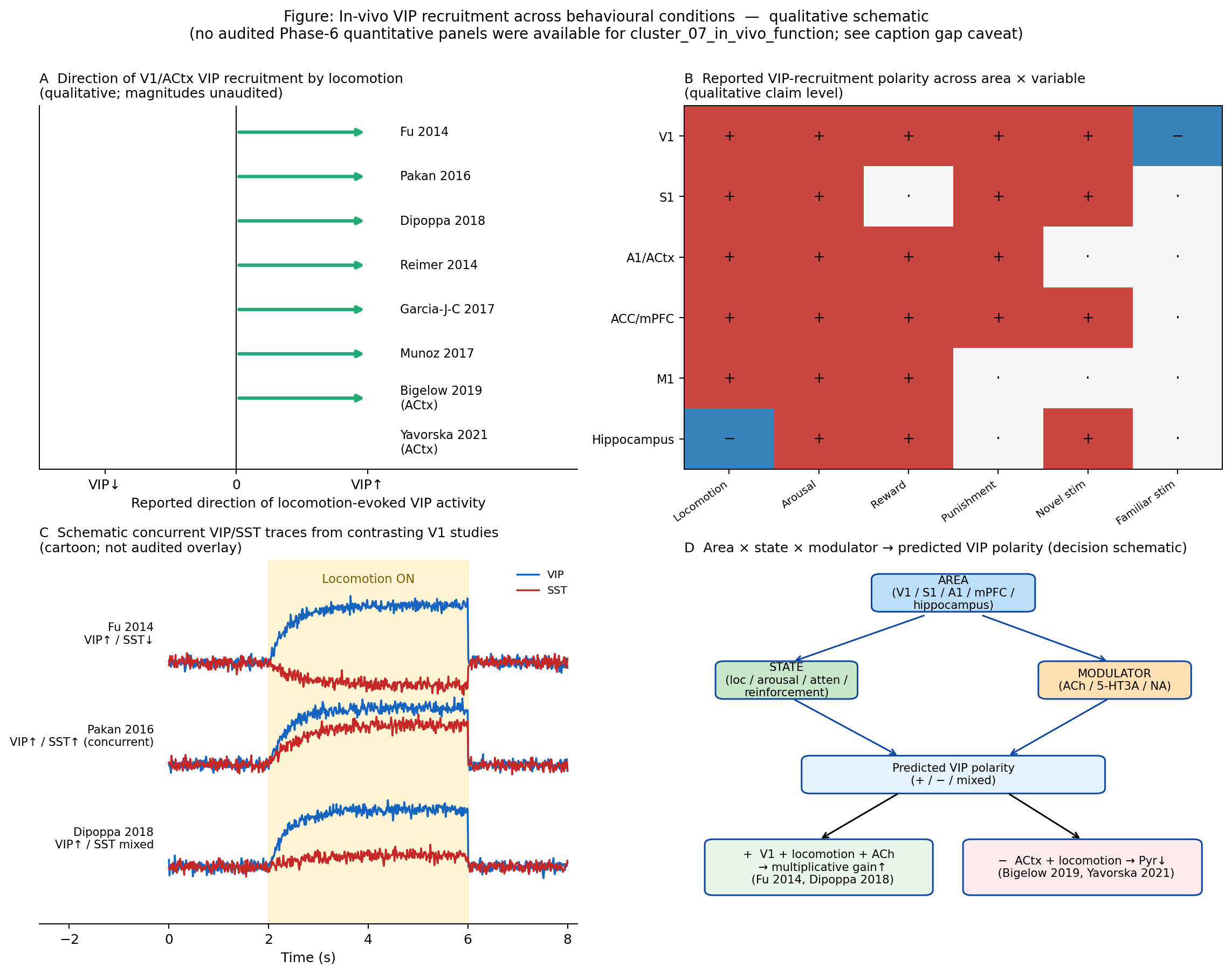 Qualitative summary of in-vivo VIP recruitment across behavioural conditions, redrawn as a schematic because no audited quantitative panels exist for cluster_07_in_vivo_function (Phase 6 audit). Panel A: per-study reported direction of VIP recruitment by locomotion in V1, with directionality only (no ΔF/F values shown — the original cross-study compilation could not be audited). Panel B: heat-map-style polarity matrix across cortical area × behavioural variable, drawn from claim-level statements in . Panel C: schematic concurrent VIP/SST trace contrast — a cartoon of the qualitative discrepancy between , , and  rather than an audited overlay. Panel D: decision diagram from area×state×modulator → expected VIP polarity, included for legibility before the schematic in . Gap caveat: panels A and C should be replaced by audited quantitative overlays in a future revision; we present them here at the qualitative level only. 