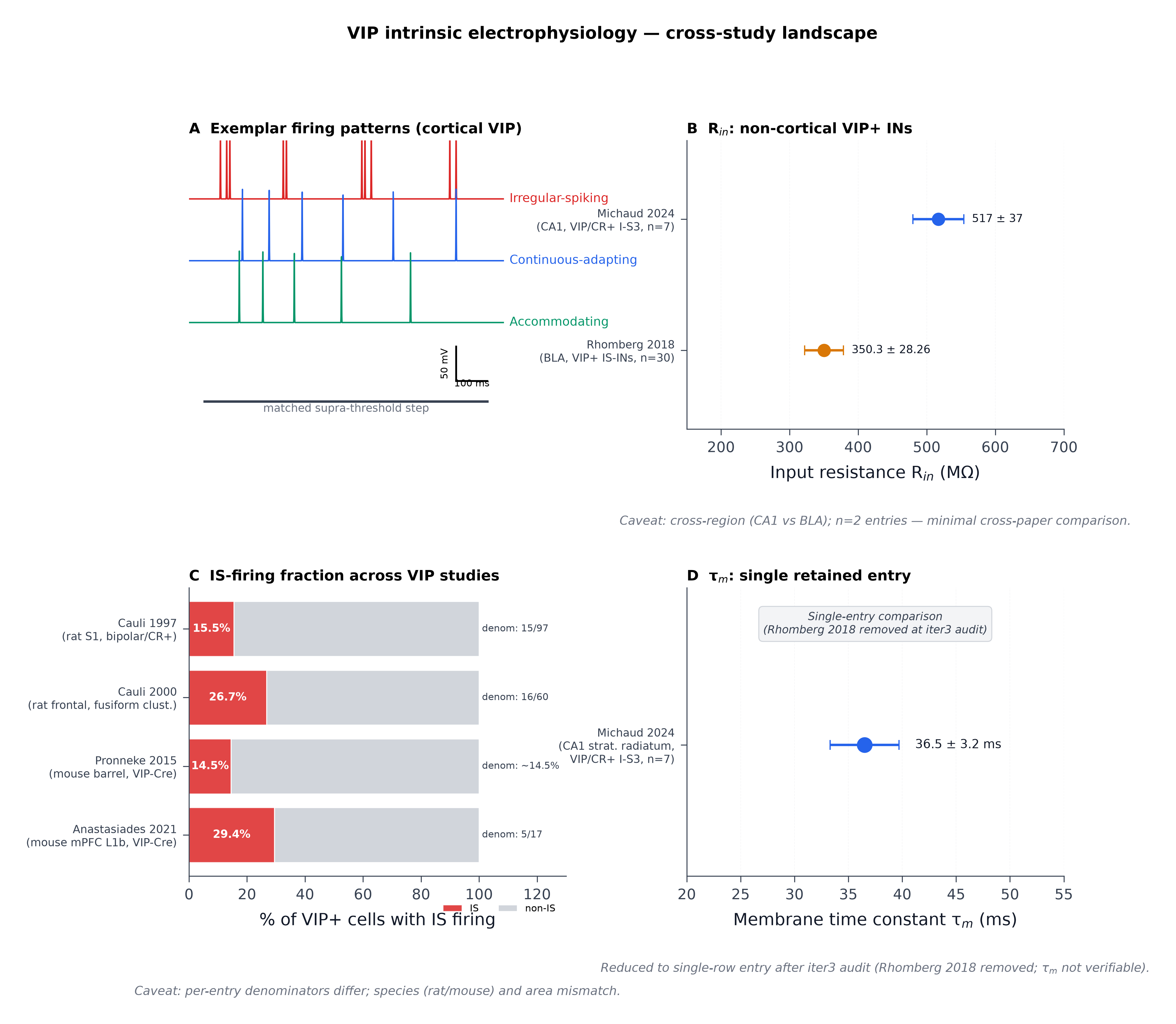 VIP intrinsic electrophysiology: cross-study landscape and Patch-seq mapping. Panel A: Schematic exemplar firing traces for the three dominant Petilla classes observed in cortical VIP cells (irregular-spiking, continuous-adapting, accommodating) at a matched supra-threshold current step, drawn from the qualitative descriptions in . Panel B: Forest-plot of input resistance for VIP+ interneurons across non-cortical regions (CA1 stratum radiatum vs basolateral amygdala). Values are mean ± SEM with n given per entry; entries are (R_{in} 517 ± 37 MΩ, n=7 VIP/CR+ I-S3 cells, mouse CA1) and  (R_{in} 350.3 ± 28.3 MΩ, n=30 VIP+ IS-INs, mouse BLA). Caveat (verbatim from Phase-6 audit): Cross-region (CA1 stratum radiatum vs BLA) — must be flagged in any figure caption. | n=2 entries — minimal cross-paper comparison. Panel C: Stacked bar of reported irregular-spiking fraction across studies. Per-entry denominators are annotated on the bars per Phase-6 audit requirement; entries:  (15 IS cells / 97 nonpyramidal interneurons sampled = 15.5% of nonpyramidal pool; the 15 IS cells co-expressed CR+VIP, rat S1, single-cell RT-PCR + patch);  (16/60 = 26.7% IS-VIP cluster, rat frontal cortex L2–3, fusiform interneurons clustered by RT-PCR + patch);  (14.5% of whole-population VIP-Cre/tdTomato barrel cortex);  (5/17 = 29.4% of mPFC L1b VIP-Cre × Ai14+ cells, mouse). Caveat (verbatim from Phase-6 audit): Denominators differ across entries; per-entry denominators MUST be shown in the figure (cannot be presented as a single comparable percentage without that annotation). | Rat (Cauli) vs mouse (Anastasiades) species mismatch. | Different cortical areas (S1, frontal cortex, mPFC L1b) and slightly different firing-class taxonomies. Panel D: Single-row entry showing membrane time constant τ_{m} (ms) for the only entry retained after Phase-6 audit removed  from the τ_{m} sub-comparison ( reports τ_{m} = 36.5 ± 3.2 ms, n=7 VIP/CR+ I-S3 cells, mouse CA1 stratum radiatum); panel reduced to a single-row entry per the iter3 audit. Patch-seq subclass-feature axes () provide the cross-species reference frame for these comparisons.