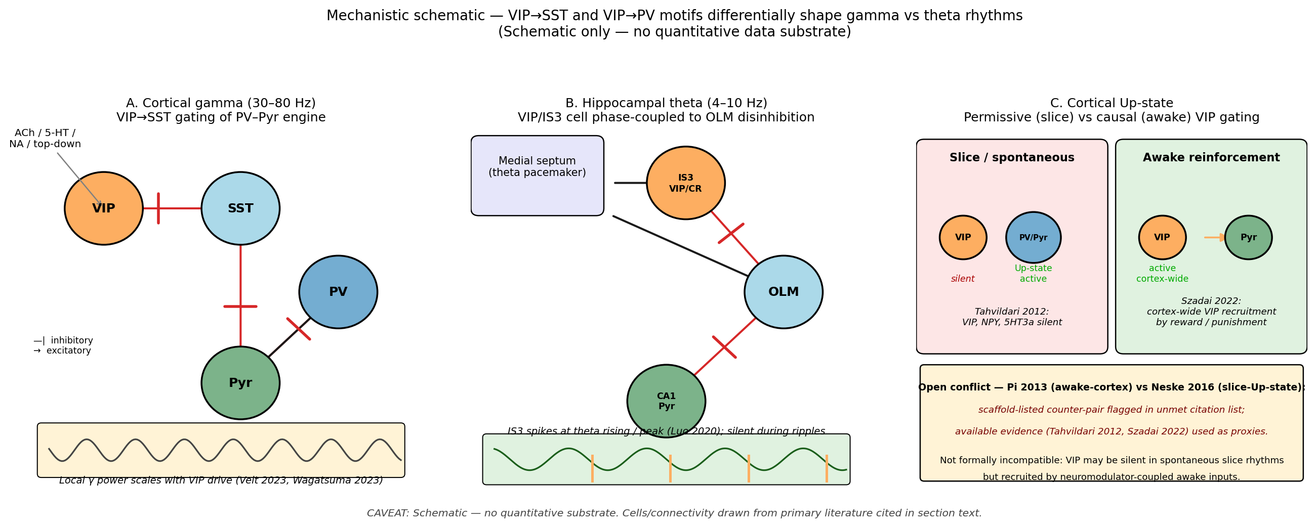 Schematic mechanism: VIP→SST and VIP→PV motifs differentially shape gamma versus theta rhythms. Schematic with no quantitative data substrate. (A) PV-driven gamma rhythm with VIP-mediated SST suppression: VIP activation predicted to scale local gamma power  and tune long-range gamma coherence . (B) Hippocampal theta-rhythm circuit with VIP/IS3 cell phase-coupled to OLM disinhibition; CR/IS3 cells fire on the rising phase and peak of theta and selectively innervate OLM dendrites . (C) Cortical Up-state schematic with VIP cells as a permissive (slice-silent, awake-recruited) versus causal gate, capturing the  versus  disagreement about Up-state generation. Caveat: Schematic only — no audited quantitative substrate.