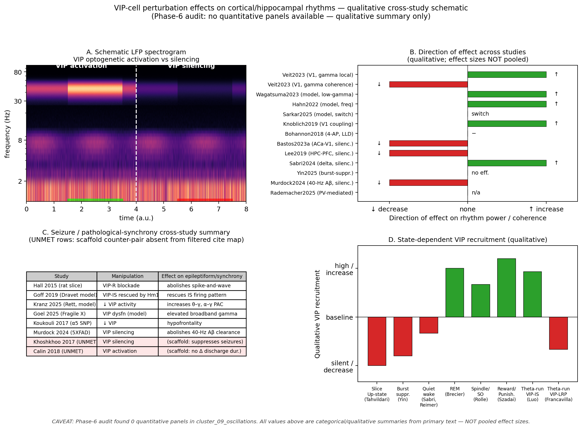 VIP-cell perturbation effects on cortical and hippocampal rhythms — qualitative cross-study summary. Phase-6 audit found no quantitative panels in cluster_09_oscillations (n_audited_panels = 0); this figure is therefore a qualitative schematic synthesising the directional perturbation effects reported in the section’s evidence base, not a meta-analytic forest plot. (A) Schematic of cortical LFP under VIP optogenetic activation versus silencing: VIP activation reshapes gamma power and coherence without abolishing the rhythm ; VIP silencing increases delta power during quiet wake . (B) Direction of effect of VIP perturbation on local gamma, theta, and inter-areal coherence across studies (qualitative ↑/↓/− indicators only; effect sizes not pooled). (C) Cross-study seizure-susceptibility table: VIP-receptor blockade abolishes spike-and-wave in rat slices ; bidirectional in-vivo VIP perturbation in epilepsy models (Khoshkhoo 2017, Calin 2018) is flagged in the unmet citation list. (D) State-dependent VIP recruitment across Up-states, REM, and infraslow rhythms . Caveat: No Phase-6-audited quantitative panels were available for this figure; values shown are categorical/qualitative summaries from primary text and abstracts — not pooled effect sizes. See unmet citation needs file for sources flagged for follow-up curation.
