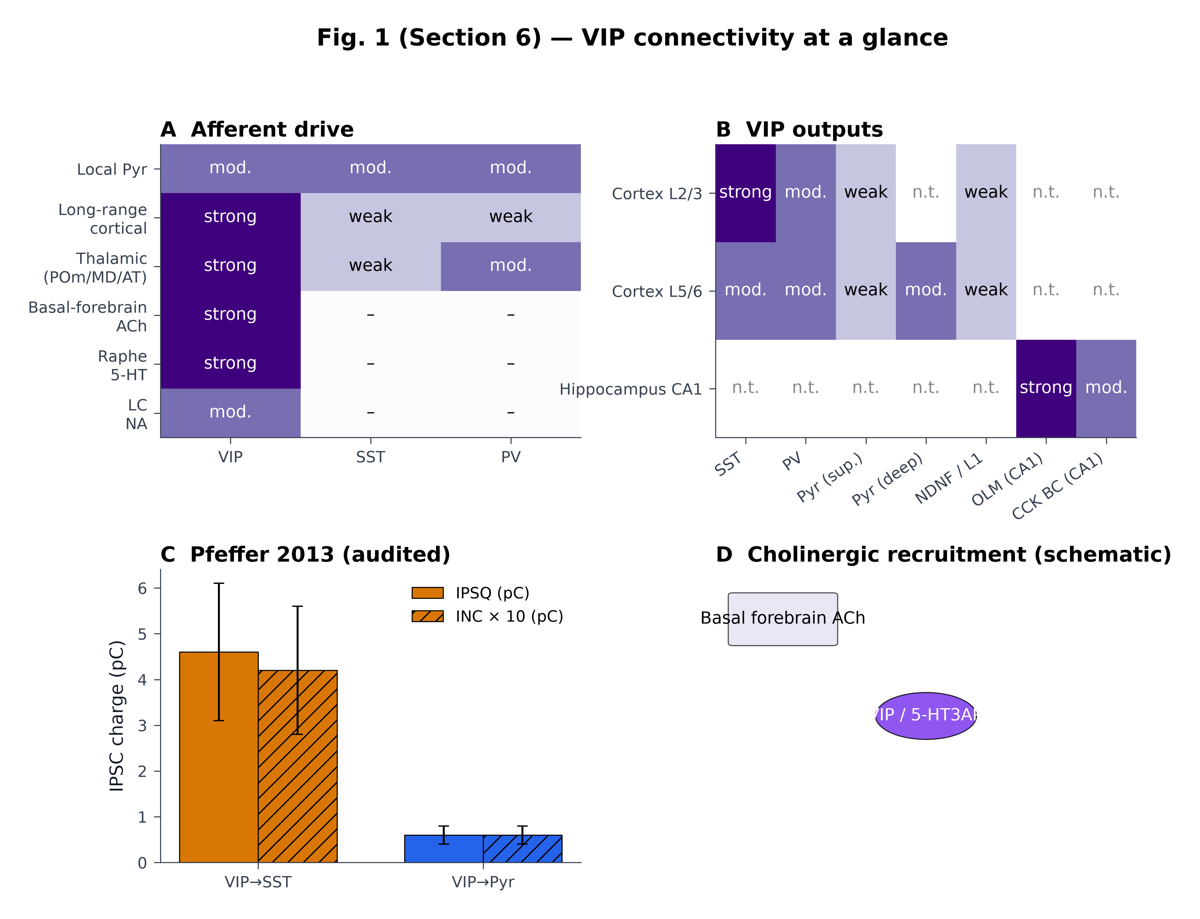 VIP synaptic connectivity at a glance. (A) Qualitative cross-study consensus categories (absent / weak / moderate / strong) for afferent drive onto VIP, SST and PV interneurons. Six afferent classes are pooled across rodent neocortex (V1, A1, S1, mPFC). Sources include , , , , , , , , , , , , , , , . Cells deliberately encode categories, not magnitudes. (B) Qualitative VIP output matrix across cortex L2/3, L5/6 and CA1; “n.t.” = not tested in the cited preparations. (C) The single Phase-6-audited quantitative comparison: VIP→SST IPSQ = 4.6 ± 1.5 pC versus VIP→Pyr IPSQ = 0.6 ± 0.2 pC (and INC 0.42 ± 0.14 pC vs 0.06 ± 0.02 pC, scaled ×10 for visibility) from V1 L2/3 paired recordings (n = 11). (D) Schematic of cholinergic recruitment of VIP / 5-HT3AR cells: nicotinic (slow, β2-containing) excitation and a smaller muscarinic inhibitory effect onto a subset of VIP cells, after , , ,  and . Caveat — qualitative. All cells in panels A and B are categorical consensus; only panel C carries an audited numeric comparison.