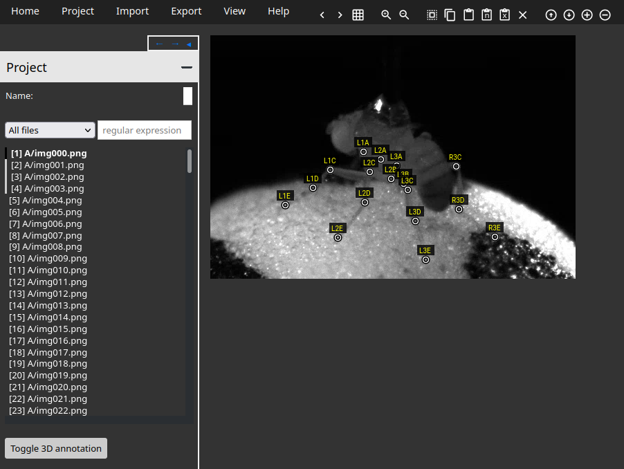 What the dataset should look like imported