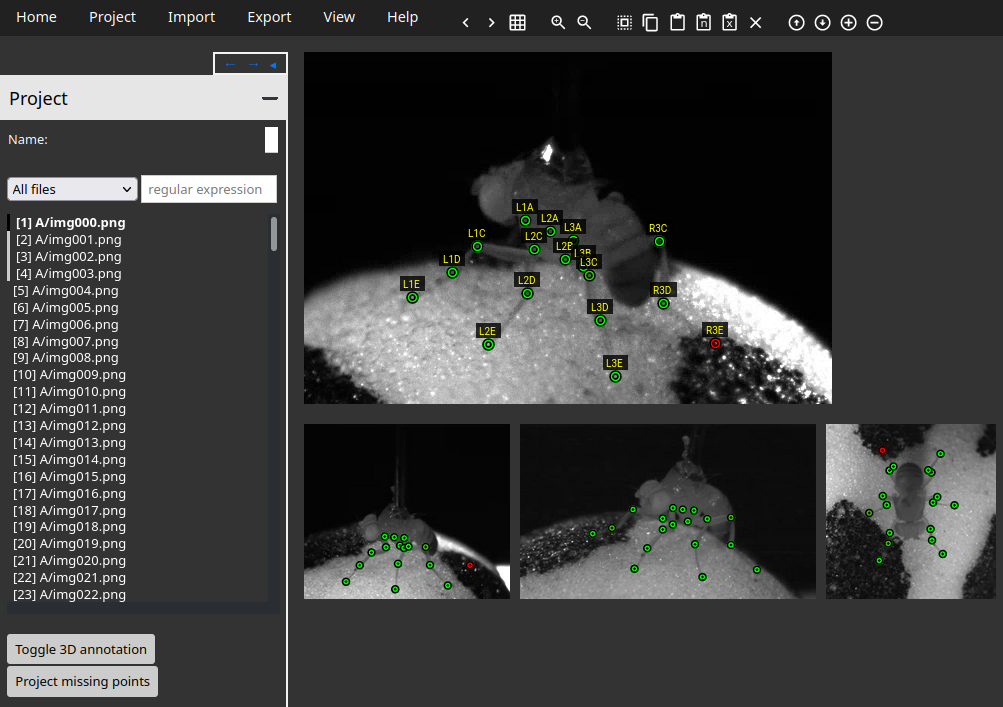 What the dataset should look like labeled in 3D