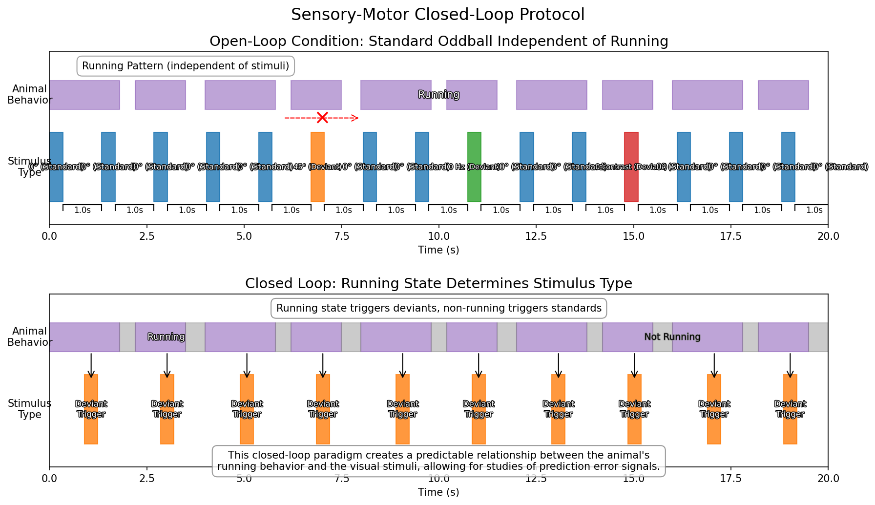 Sensory-Motor Closed-Loop Protocol